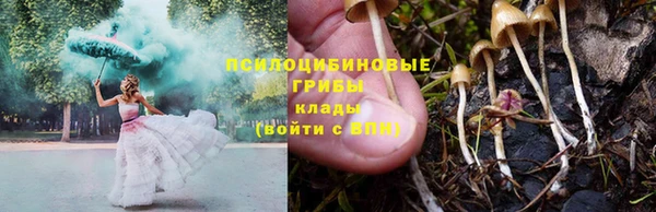 apvp Осинники